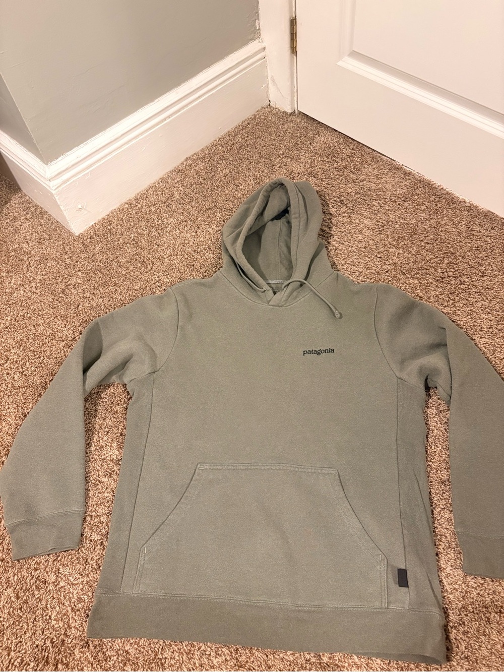 Patagonia Men's Olive Green Pullover Hoodie